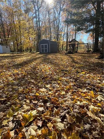 a view of yard with tree
