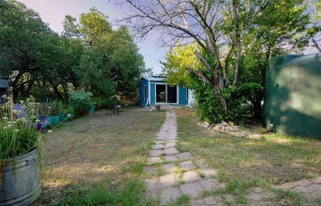 a view of a yard with plants and a large tree