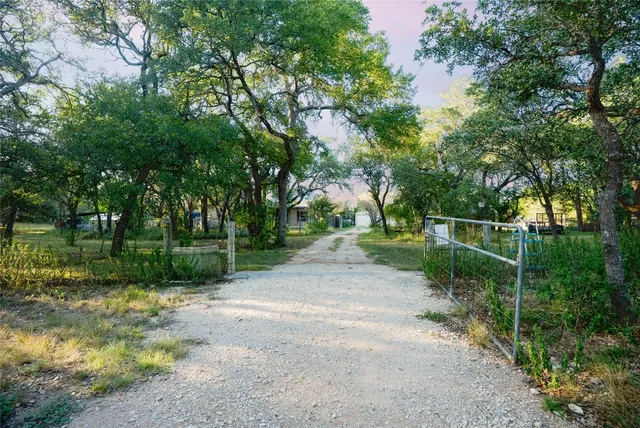 a view of a backyard with plants