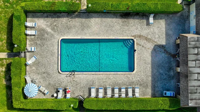 a view of a backyard with plants