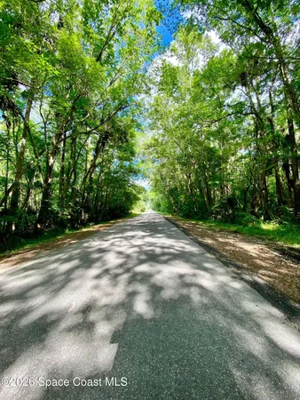 a view of a backyard of the house