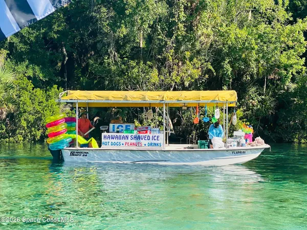 a view of a backyard with a garden