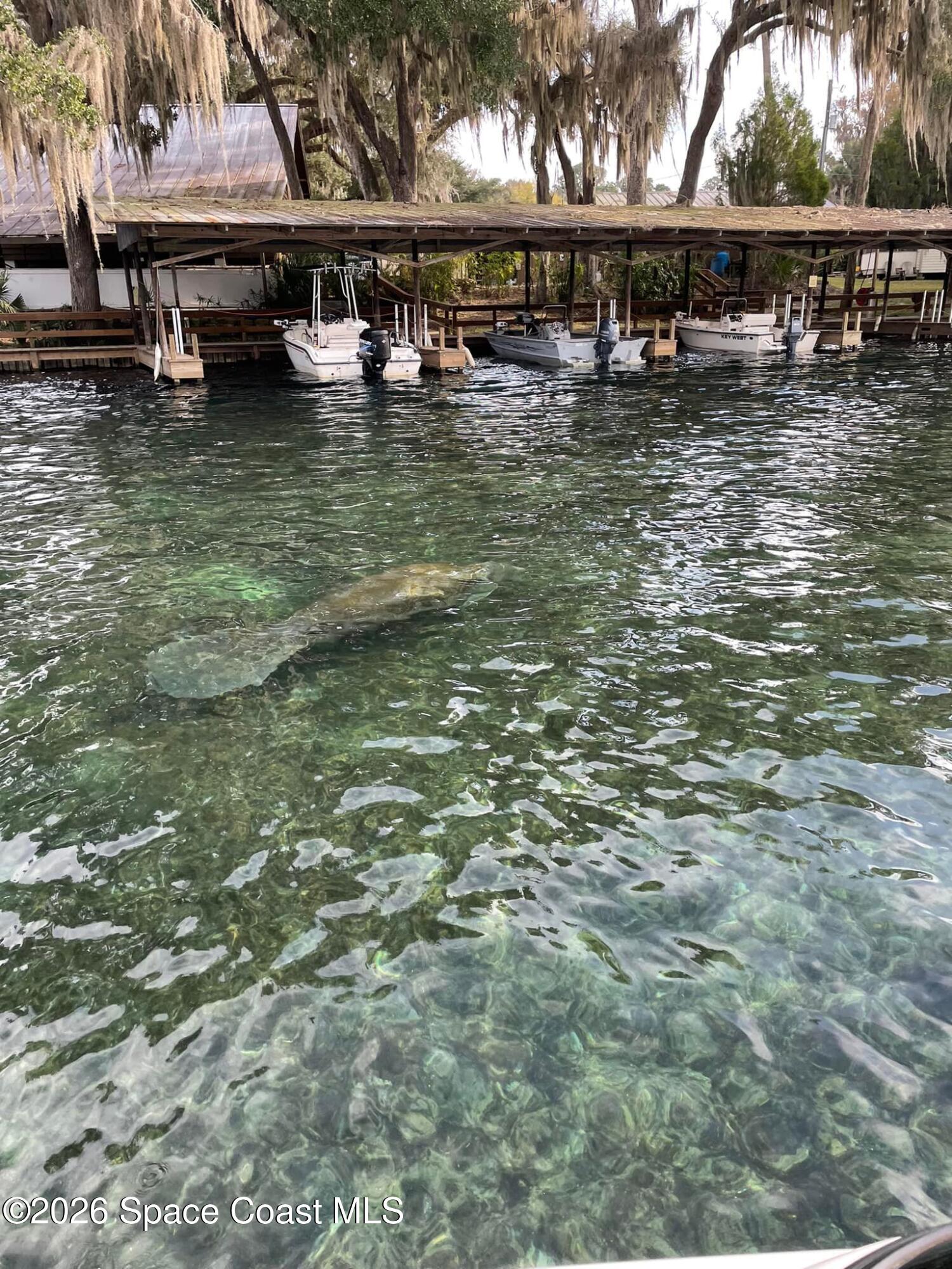 56304 Acorn Road Astor, FL 32102 - Photo 38 of 51 Manattes