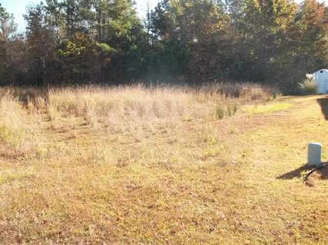 Lot 15 Hamilton Way Conway, SC 29526 - Photo 1 of 10 Gallery Image 1