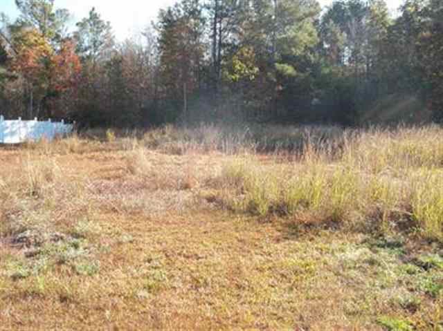 Lot 15 Hamilton Way Conway, SC 29526 - Photo 3 of 10 Gallery Image 3