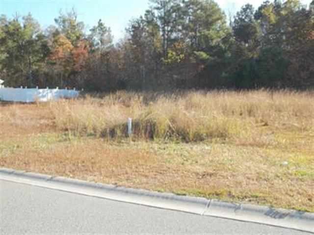 Lot 15 Hamilton Way Conway, SC 29526 - Photo 6 of 10 Gallery Image 6