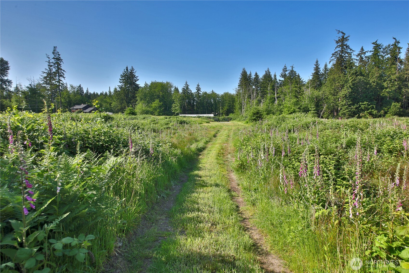 2062 East Goodell Road Freeland, WA 98249 - Photo 11 of 37