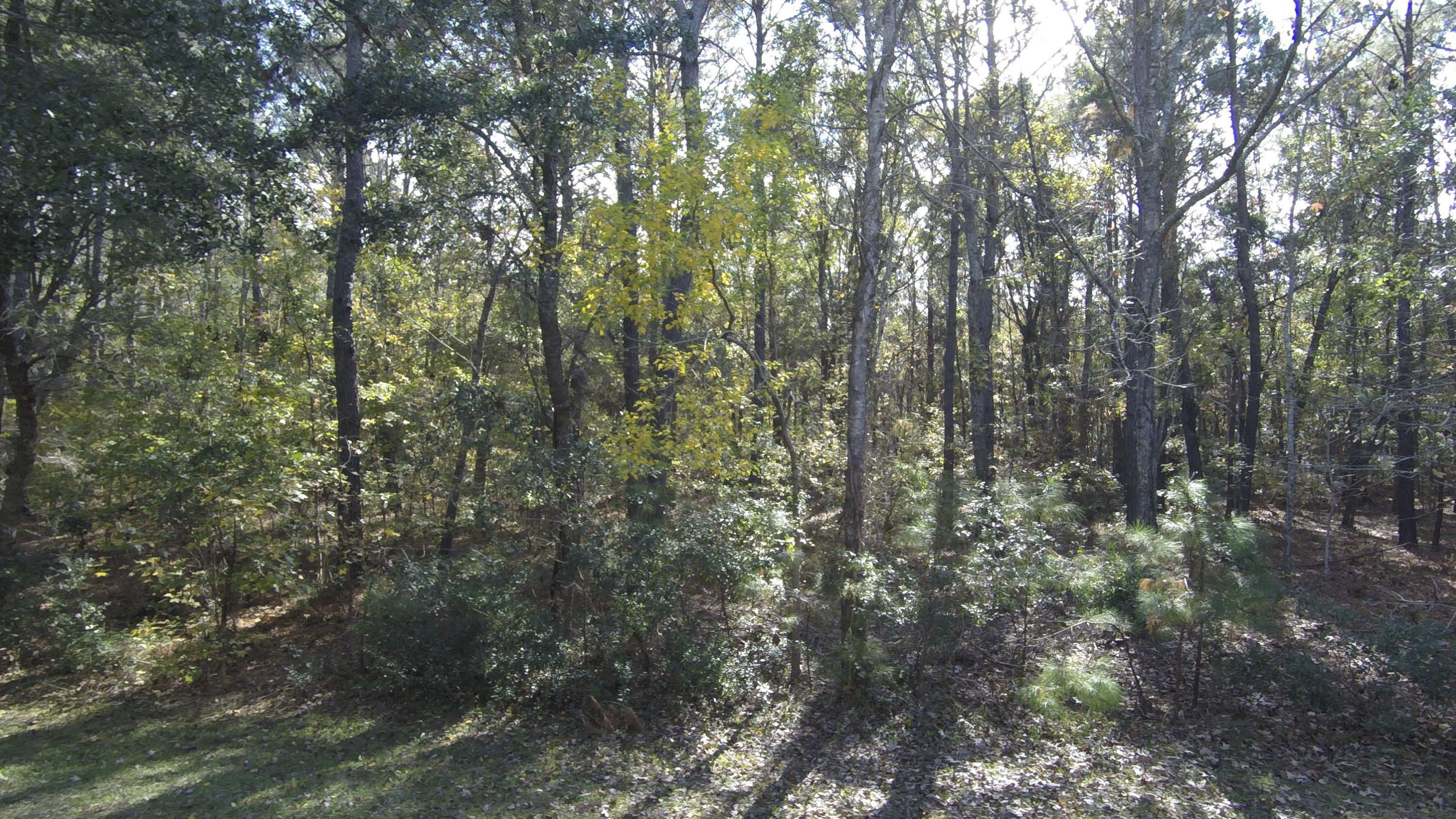 Lot 18 Longmarsh Road Awendaw, SC 29429 - Photo 3 of 17 Sewee Preserve Lot 18 G0015567