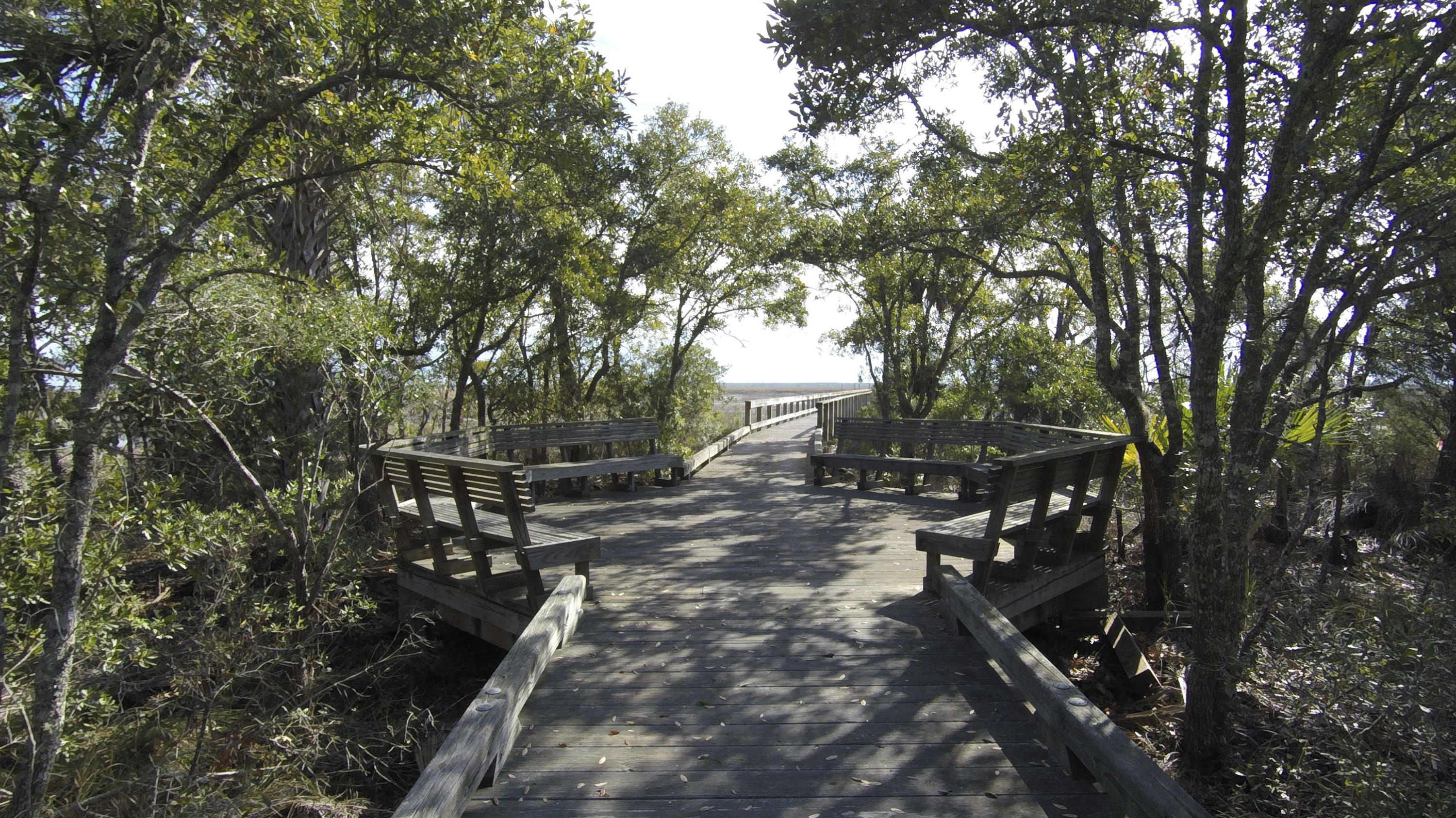 Lot 18 Longmarsh Road Awendaw, SC 29429 - Photo 6 of 17 Sewee Preserve Lot 18 G0025692