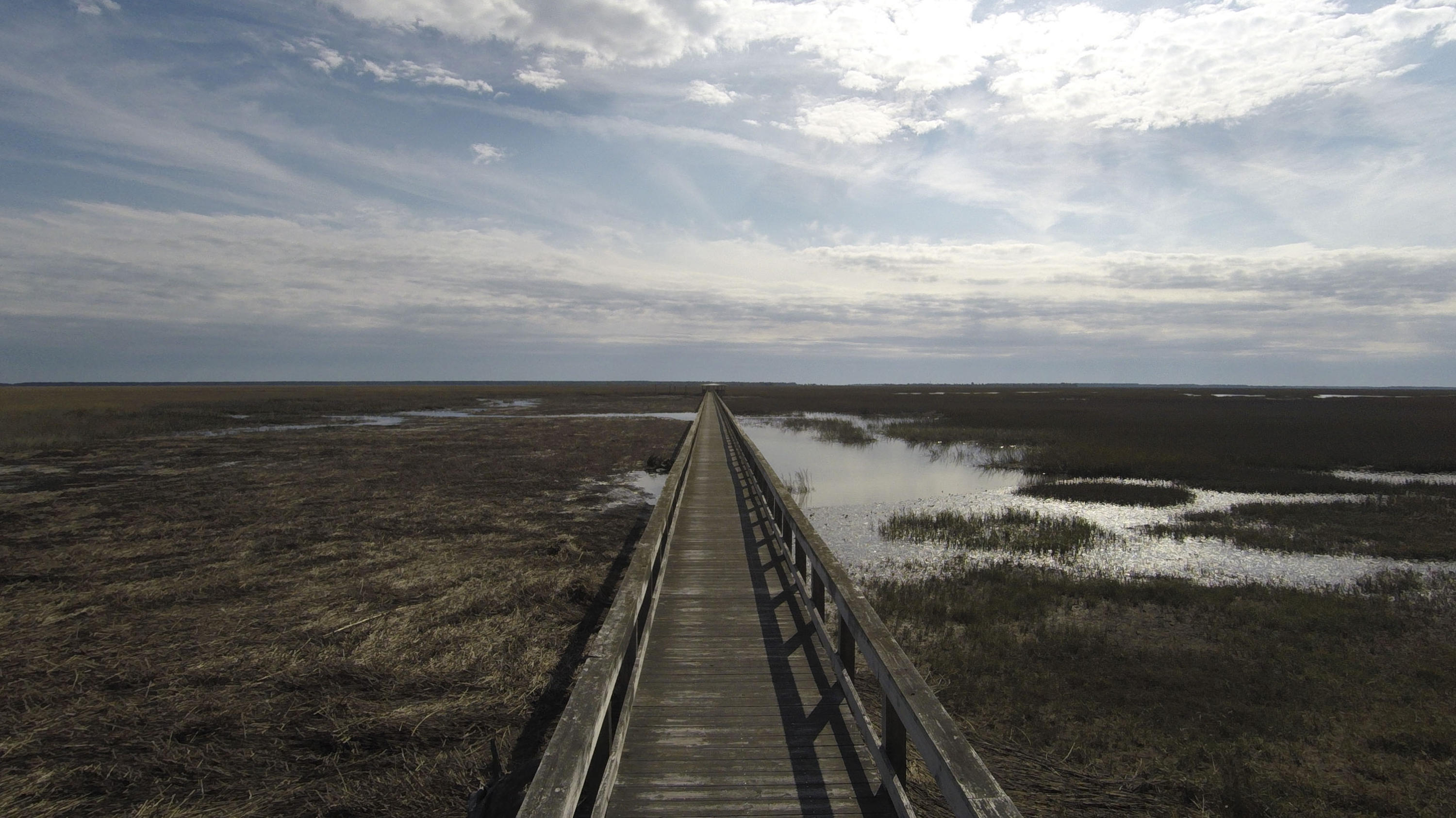 Lot 18 Longmarsh Road Awendaw, SC 29429 - Photo 7 of 17 Sewee Preserve Lot 18 G0025696