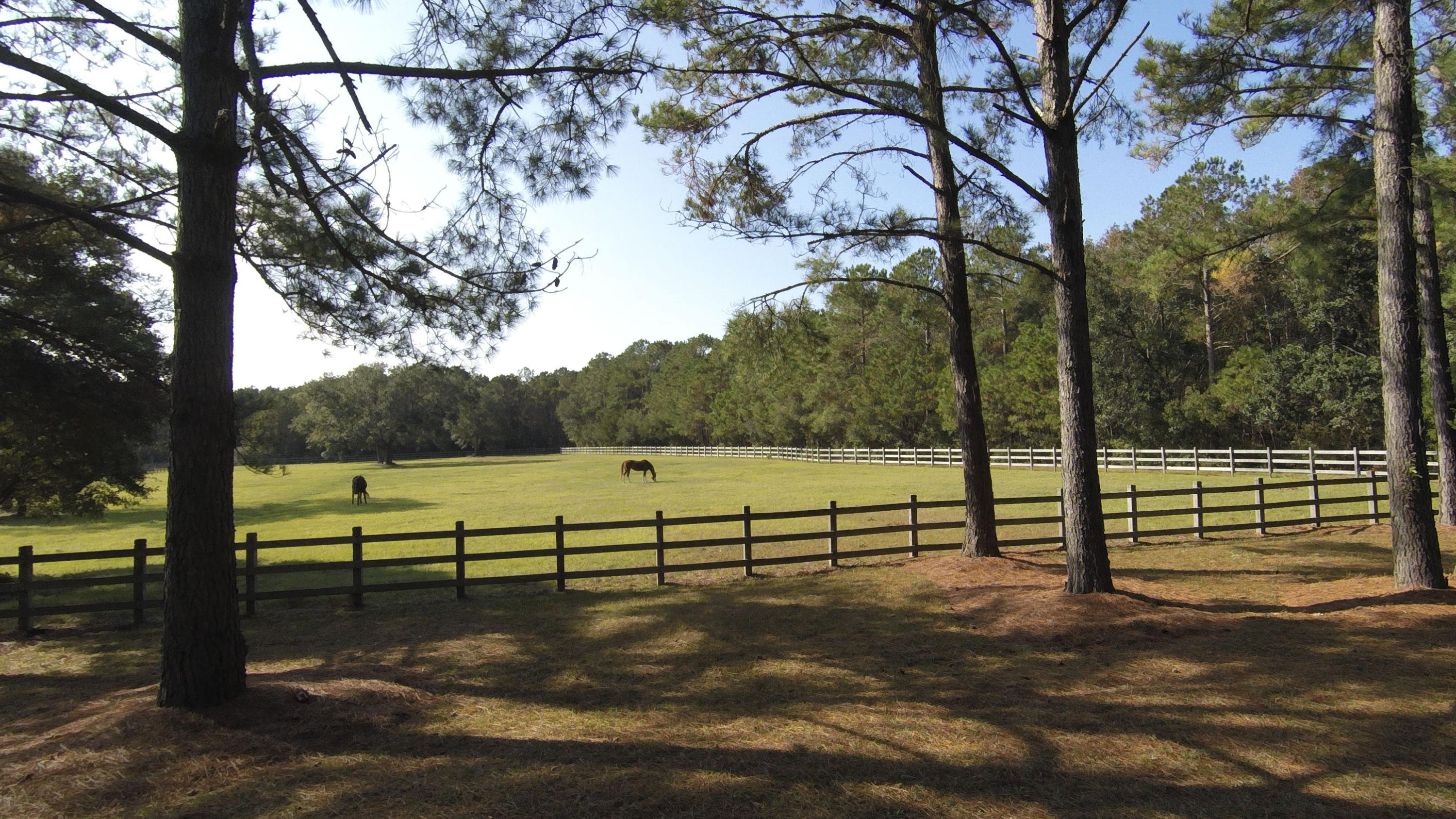 Lot 18 Longmarsh Road Awendaw, SC 29429 - Photo 10 of 17 Sewee Preserve Lot 18 G0035801