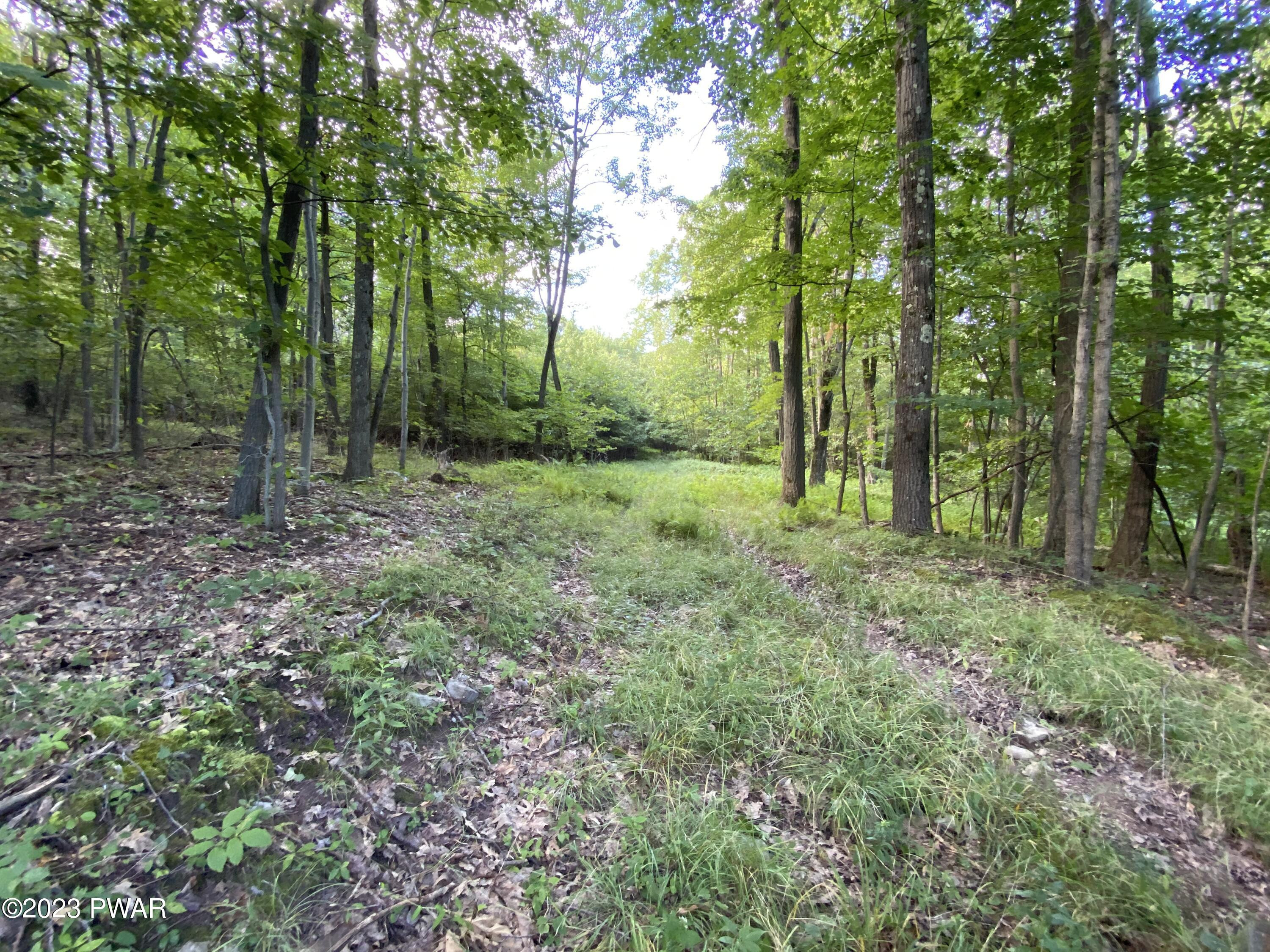 35048 Archbald Mountain Road Lake Ariel, PA 18436 - Photo 2 of 7