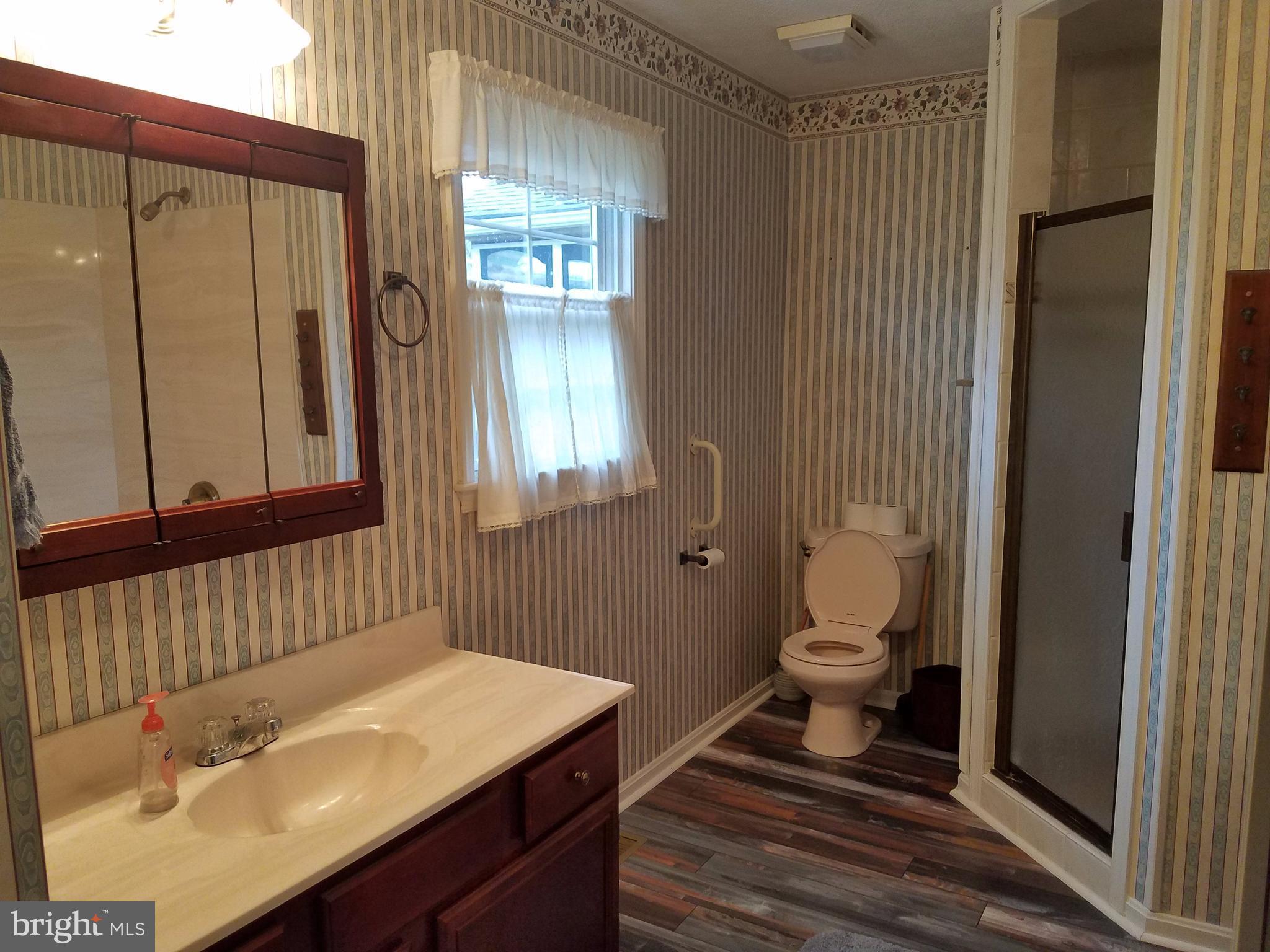 1087 Crooked Run Road Mount Jackson, VA 22842 - Photo 19 of 29 Master Bath View 1