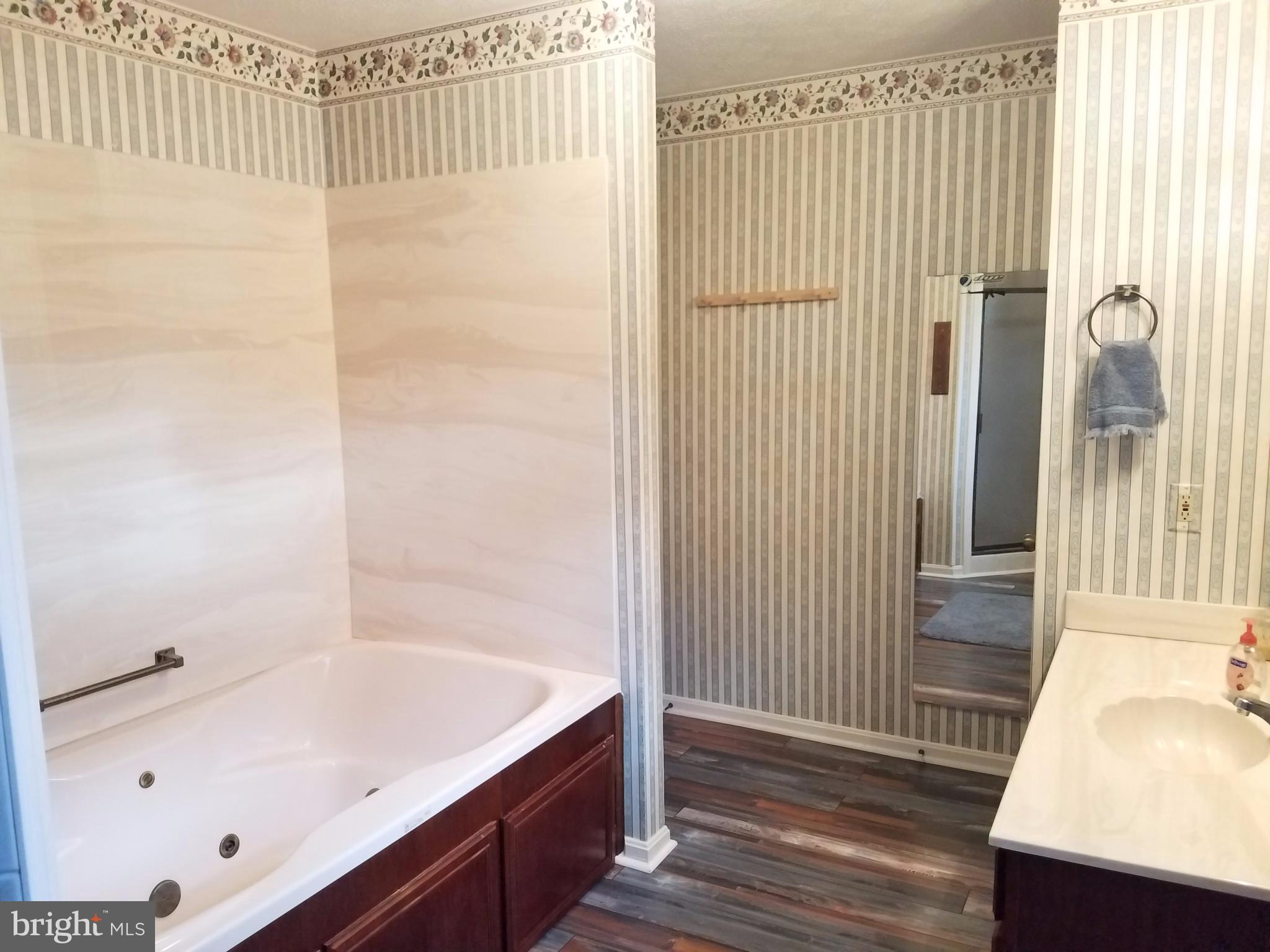 1087 Crooked Run Road Mount Jackson, VA 22842 - Photo 20 of 29 Master Bath View 2
