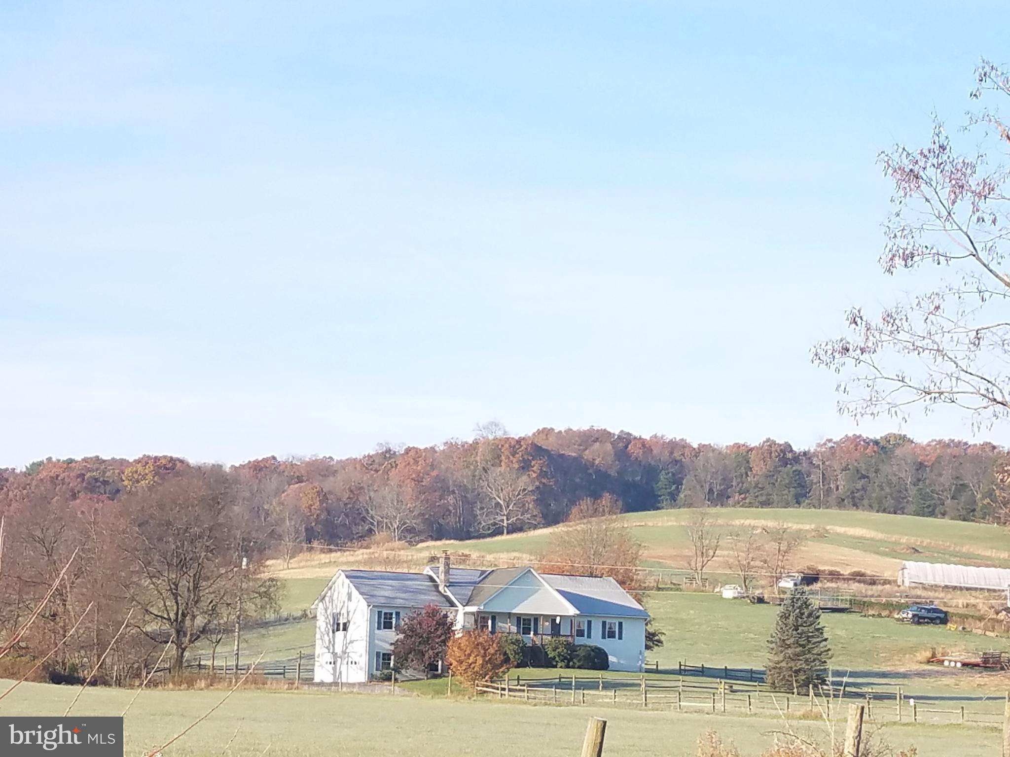 1087 Crooked Run Road Mount Jackson, VA 22842 - Photo 2 of 29 Farm Setting