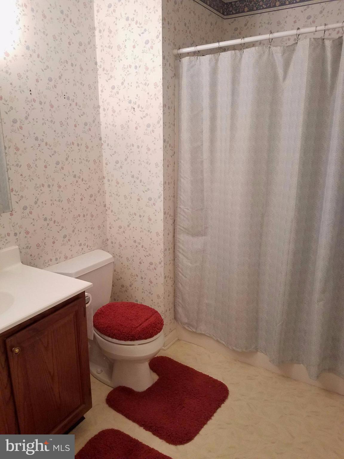 1087 Crooked Run Road Mount Jackson, VA 22842 - Photo 22 of 29 Hall Bath