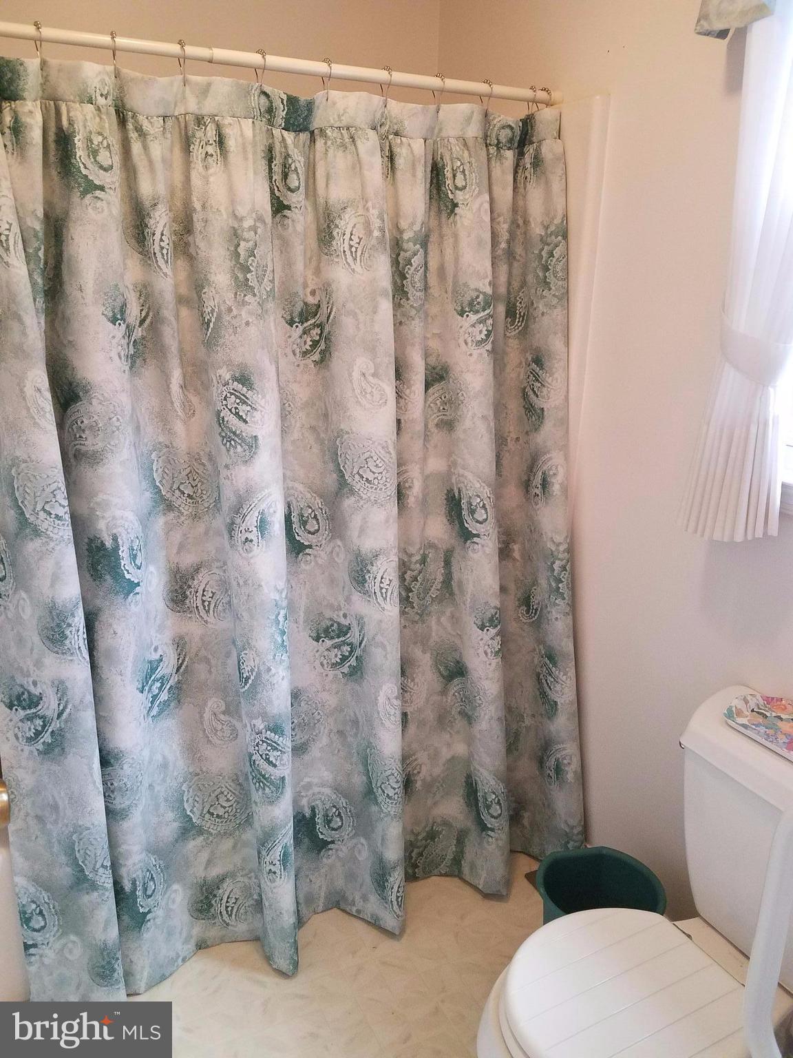 1087 Crooked Run Road Mount Jackson, VA 22842 - Photo 24 of 29 2nd Master Bath View 1