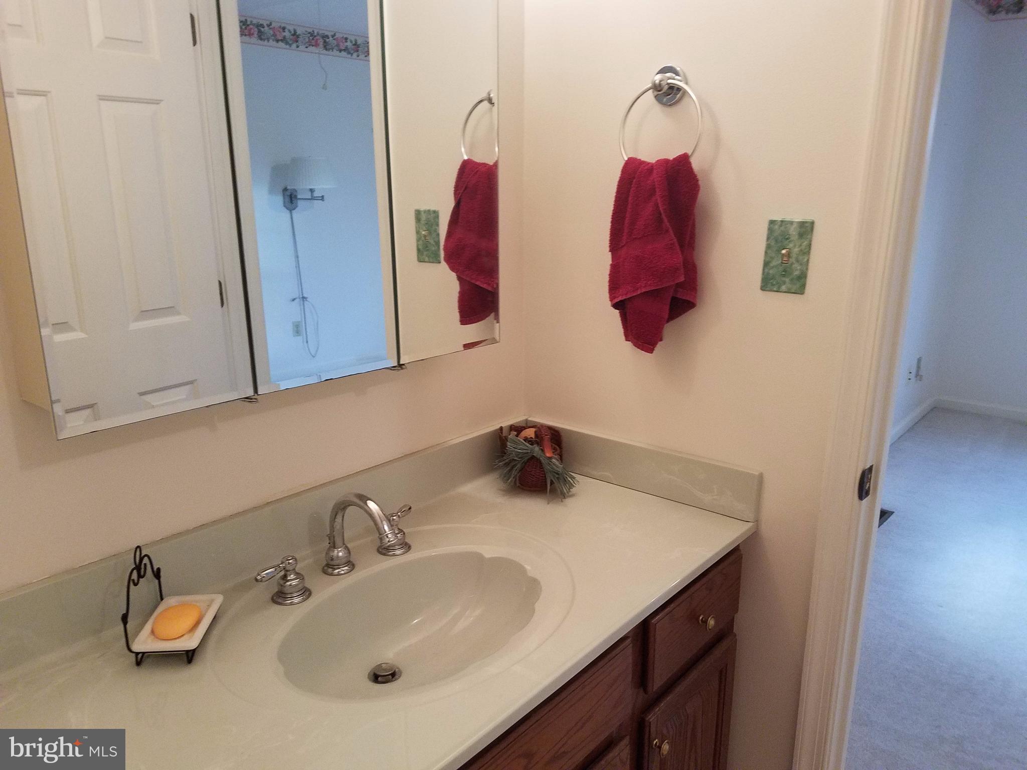1087 Crooked Run Road Mount Jackson, VA 22842 - Photo 25 of 29 2nd Master Bath View 2