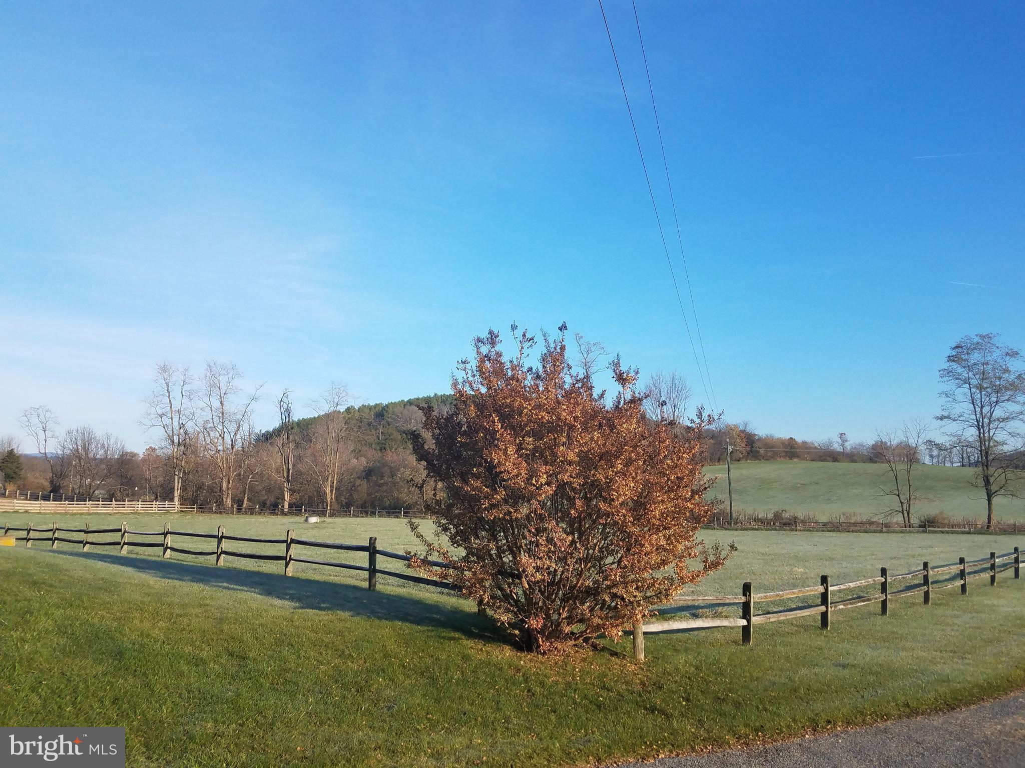 1087 Crooked Run Road Mount Jackson, VA 22842 - Photo 4 of 29 Pasture in front of house