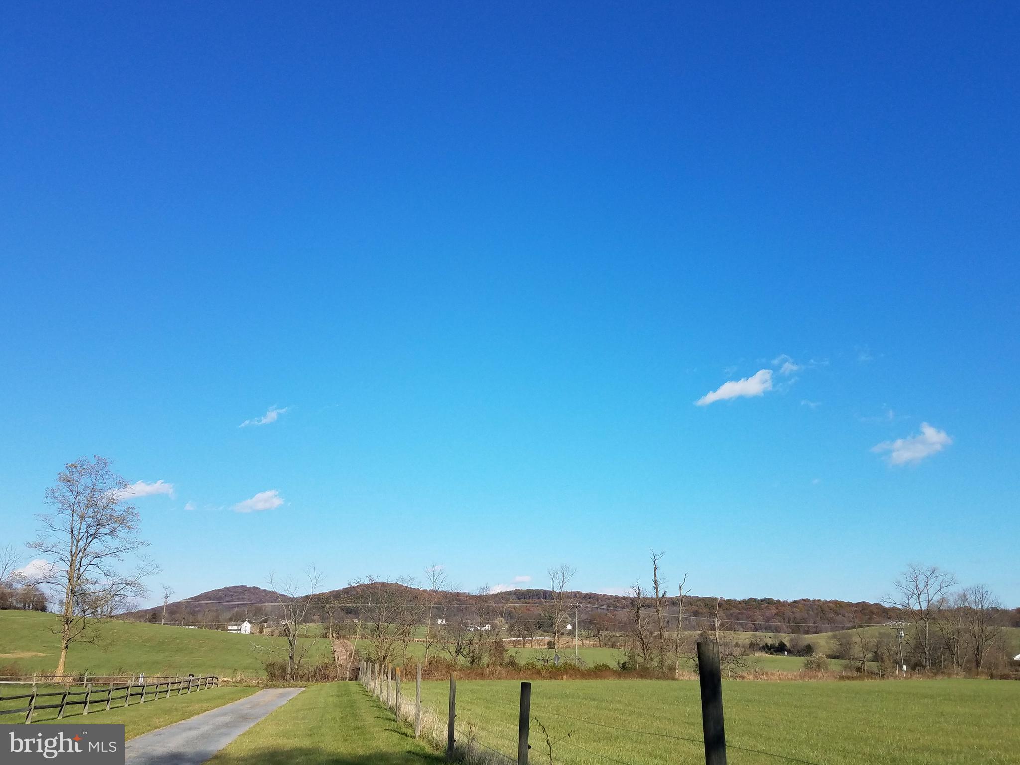1087 Crooked Run Road Mount Jackson, VA 22842 - Photo 6 of 29 View From Driveway