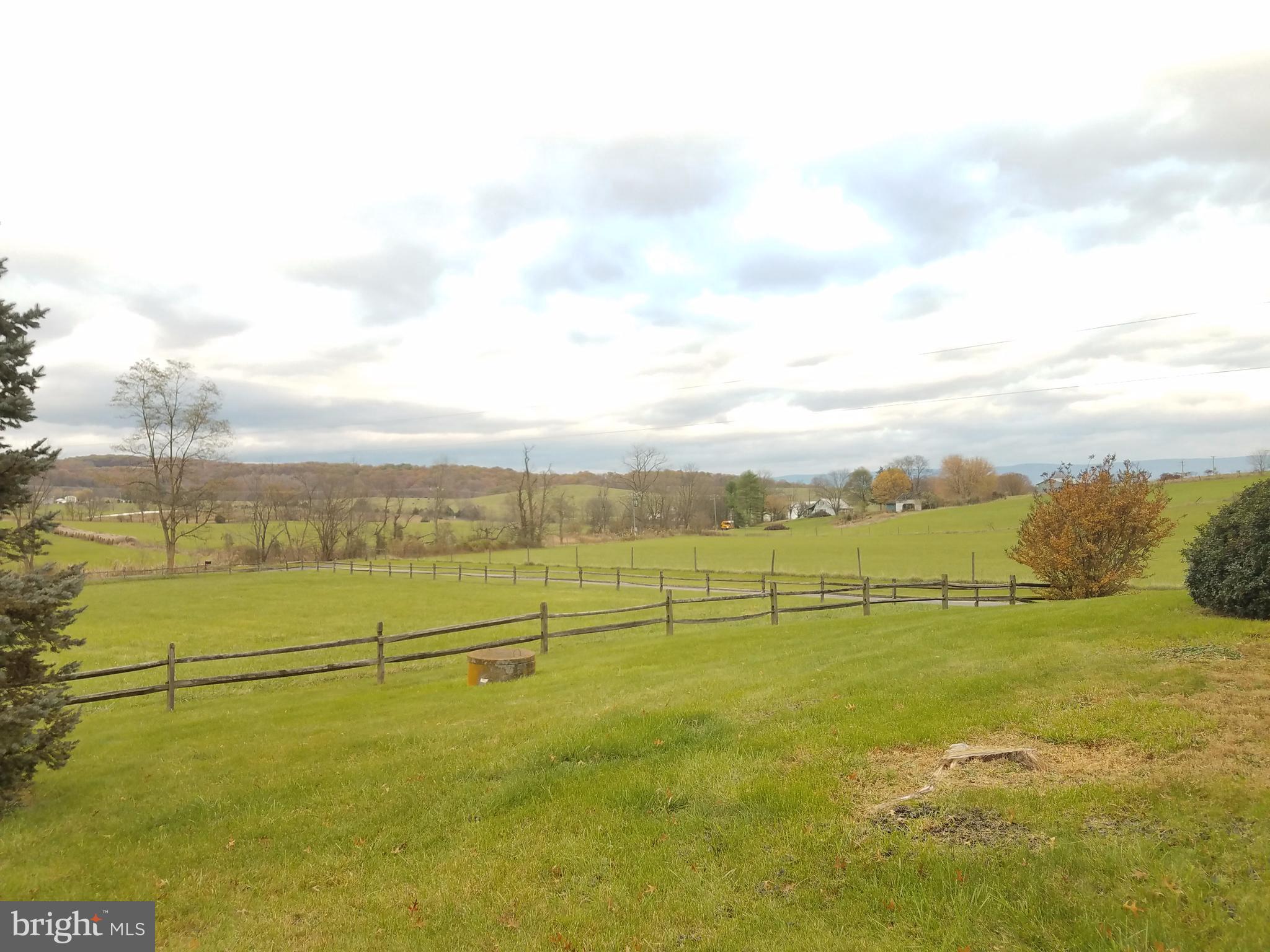 1087 Crooked Run Road Mount Jackson, VA 22842 - Photo 7 of 29 Front Pasture and driveway from side yard