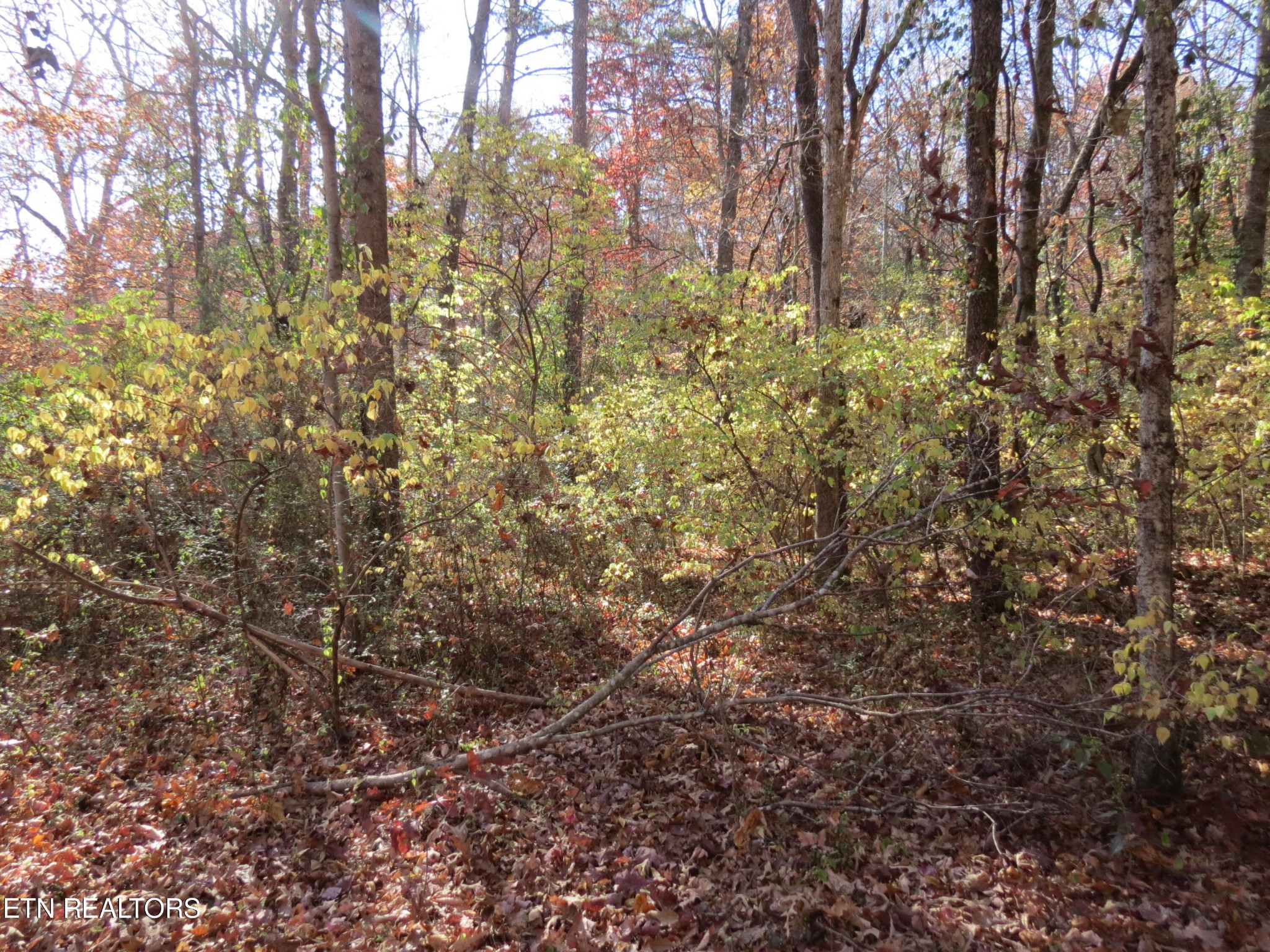 0 Harris Road Knoxville, TN 37918 - Photo 3 of 8 Gallery Image 3
