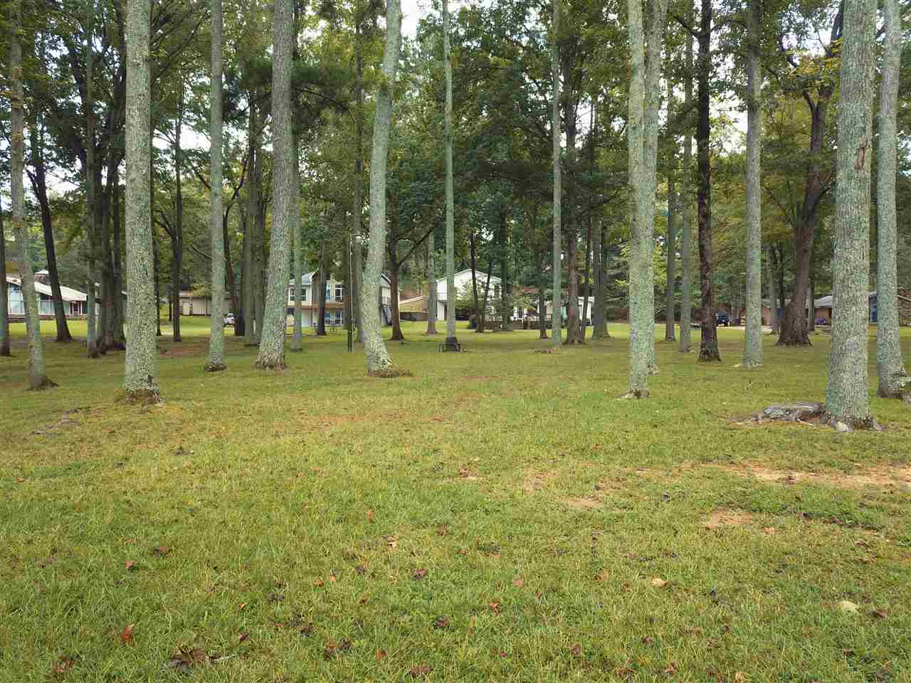 235 Snowdown Cove Cherokee, AL 35616 - Photo 24 of 25