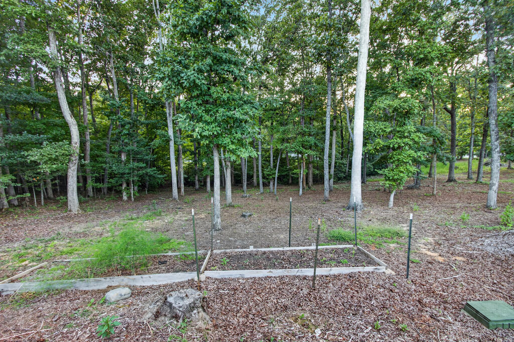 52 Ivy Ridge Court Blue Ridge, GA 30513 - Photo 57 of 59 Gallery Image 57