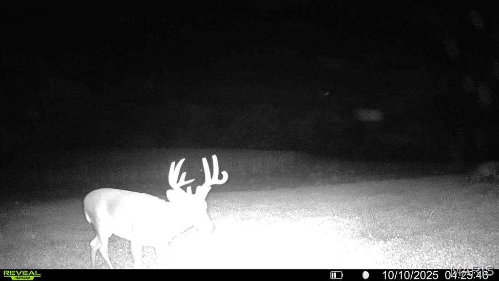 0 Fortune Road Burlington Junction, MO 64428 - Photo 12 of 40