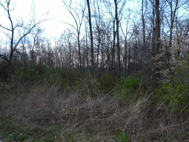 1300 Lackey Old State Road Delaware, OH 43015 - Photo 3 of 6