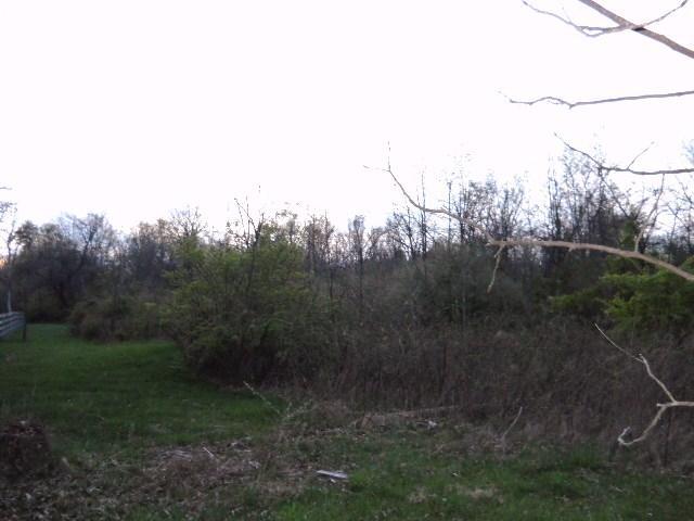 1300 Lackey Old State Road Delaware, OH 43015 - Photo 4 of 6