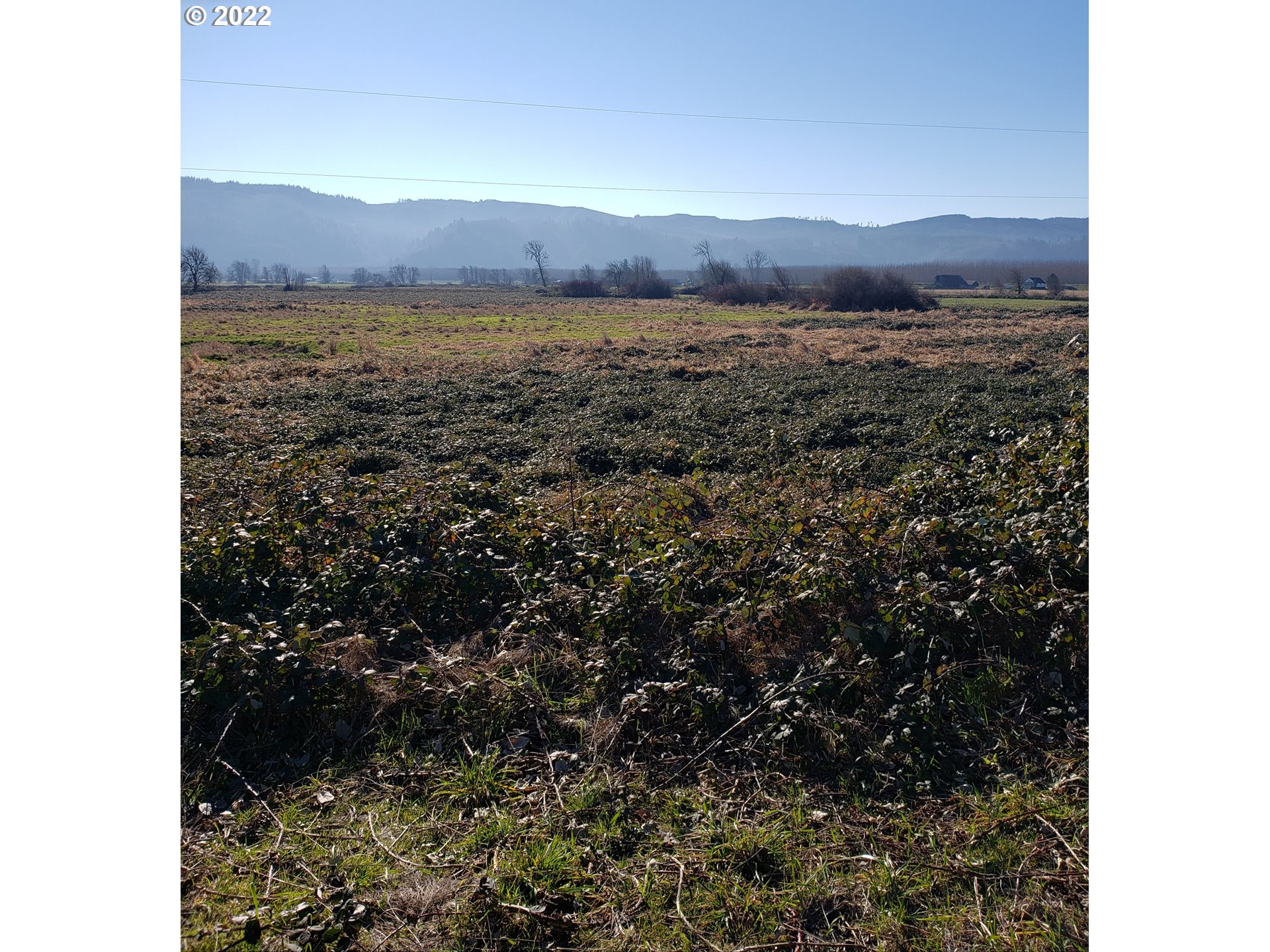 River Front Road Clatskanie, OR 97016 - Photo 2 of 2 Gallery Image 2