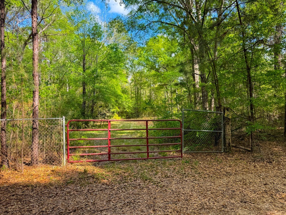 0 County Road 4630 Road North Spurger, TX 77660 - Photo 50 of 50 Gallery Image 50