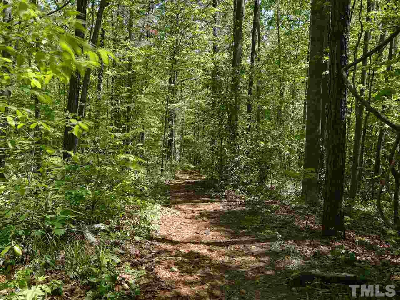 5206 Mountain Ridge Road Raleigh, NC 27612 - Photo 22 of 23 a view of a yard with plants and trees
