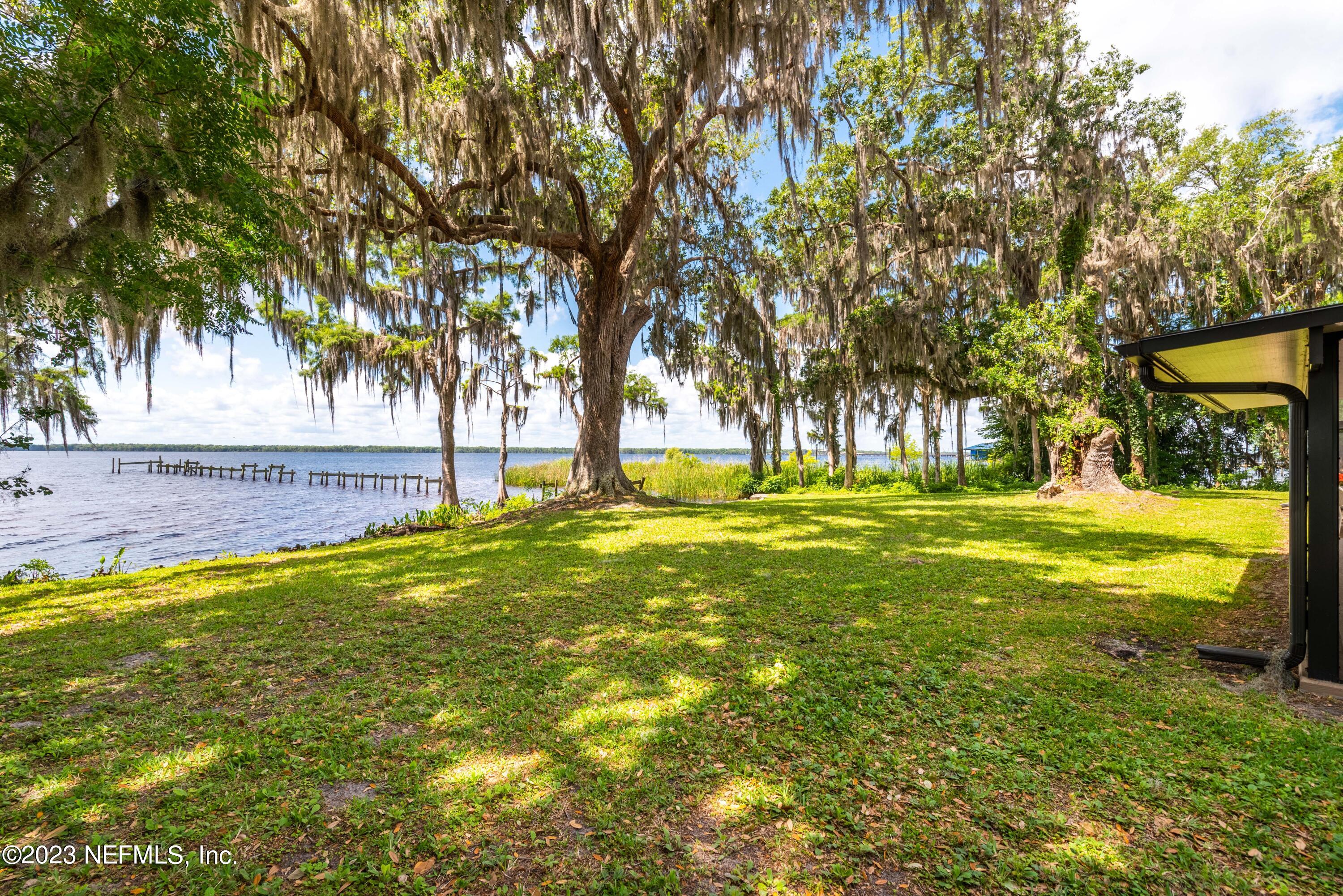 5579 Steamboat Road St. Augustine, FL 32092 - Photo 32 of 52 a view of an trees with a big yard