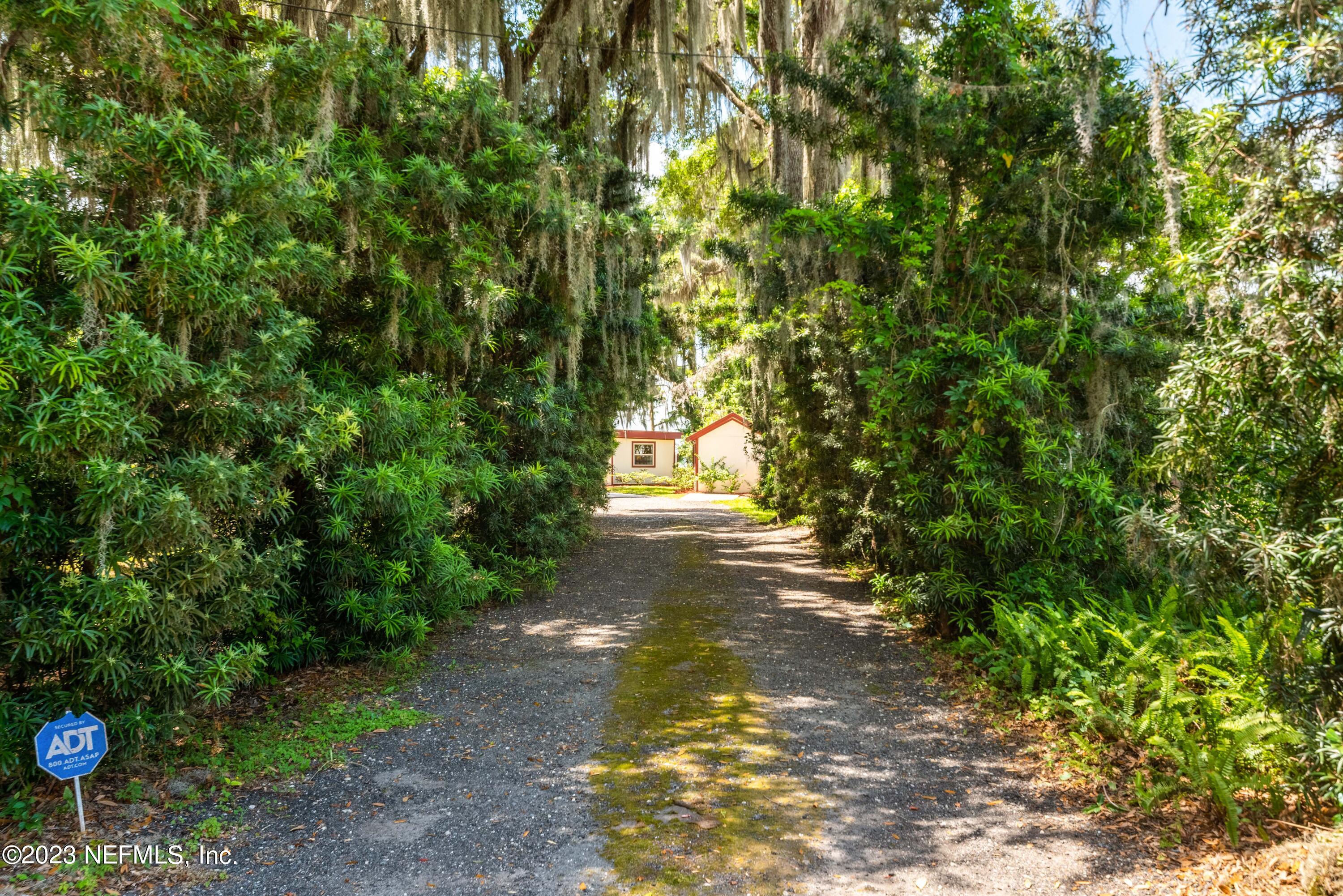 5579 Steamboat Road St. Augustine, FL 32092 - Photo 40 of 52 a view of a yard with plants and trees
