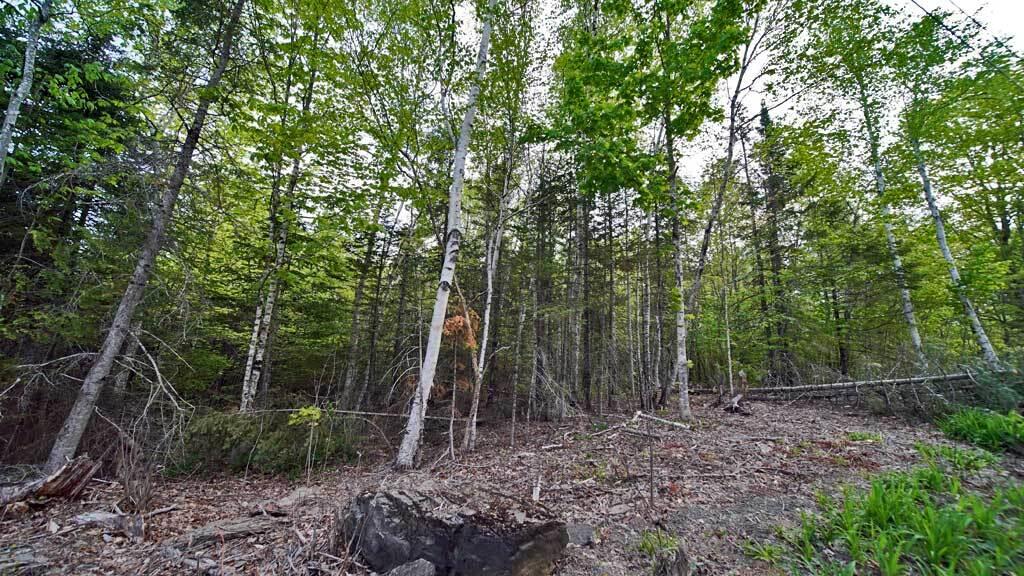 Lot 18 Monument Road Amity, ME 04471 - Photo 3 of 29 18-b-monument-amity-land-1