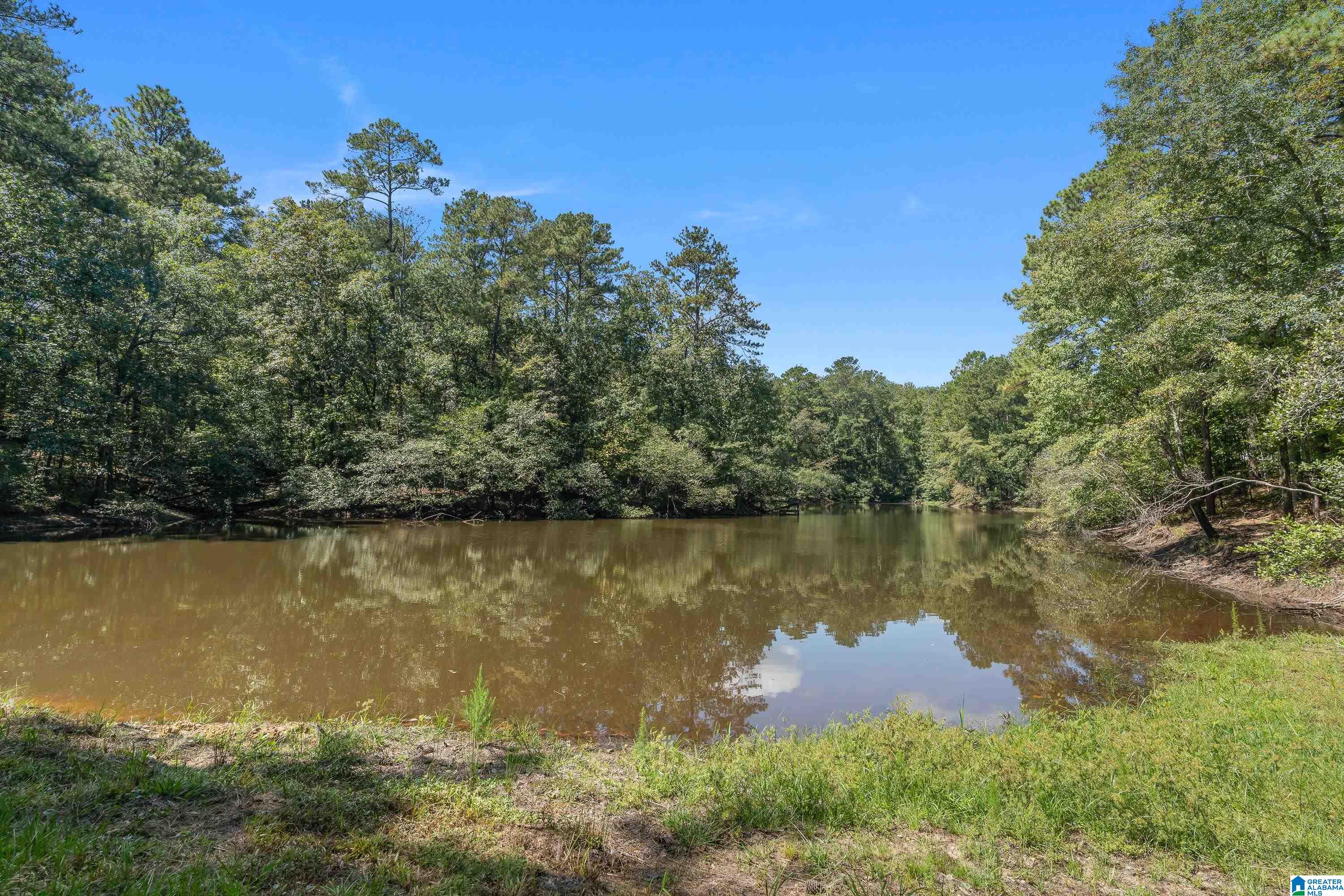 9215 Bear Creek Road Sterrett, AL 35147 - Photo 78 of 99