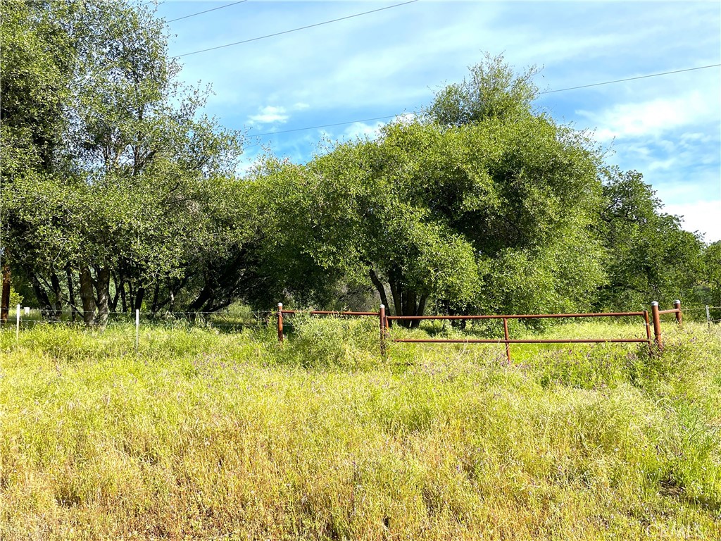 4176 Sebastopol Road Mariposa, CA 95338 - Photo 18 of 30