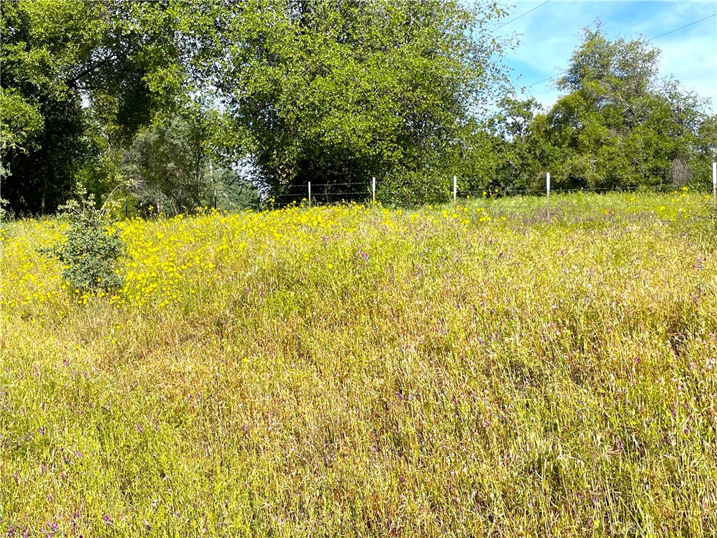4176 Sebastopol Road Mariposa, CA 95338 - Photo 19 of 30