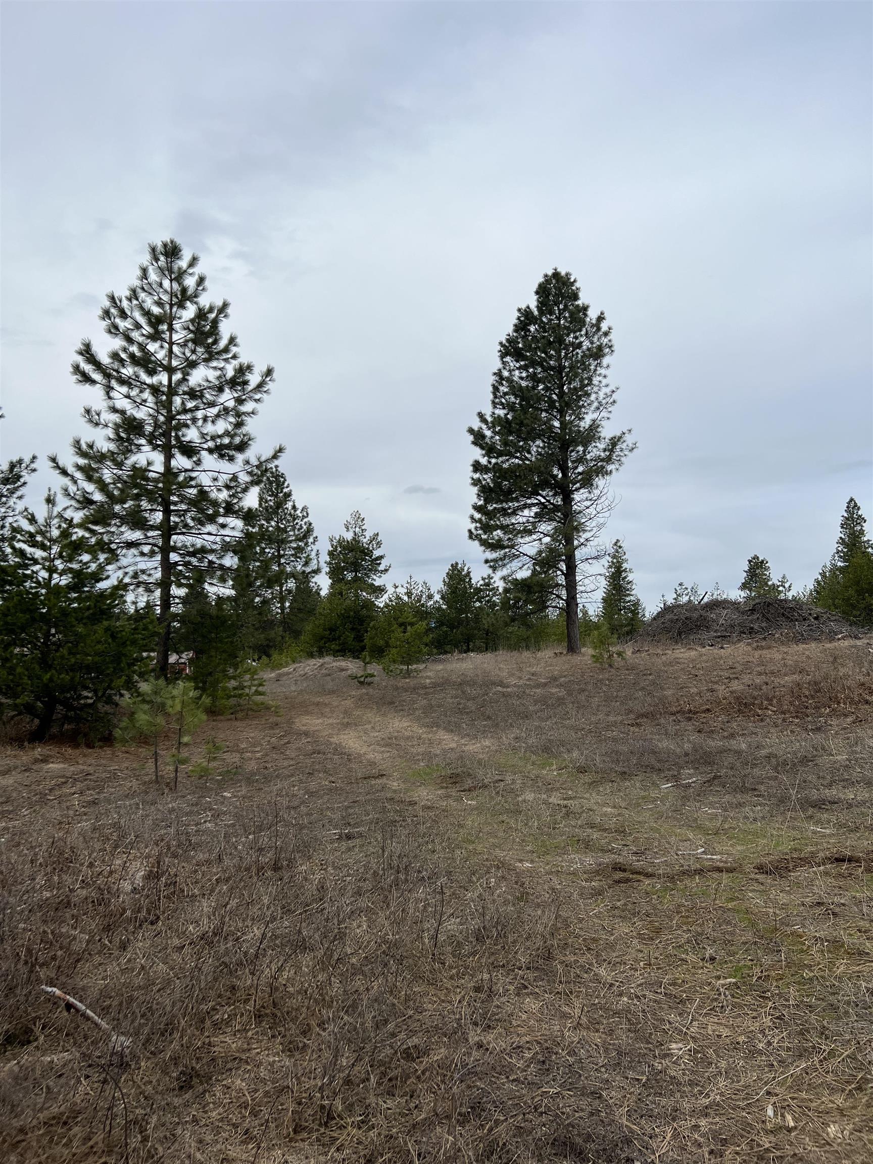 1414 Roberts Road, Unit 1301 ROBERTS RD Newport, WA 99156 - Photo 12 of 32