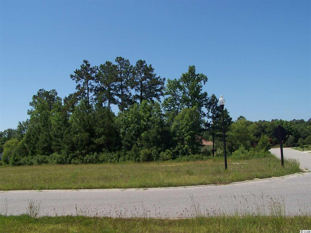 Chapel Ridge Circle Myrtle Beach, SC 29588 - Photo 1 of 2 Gallery Image 1