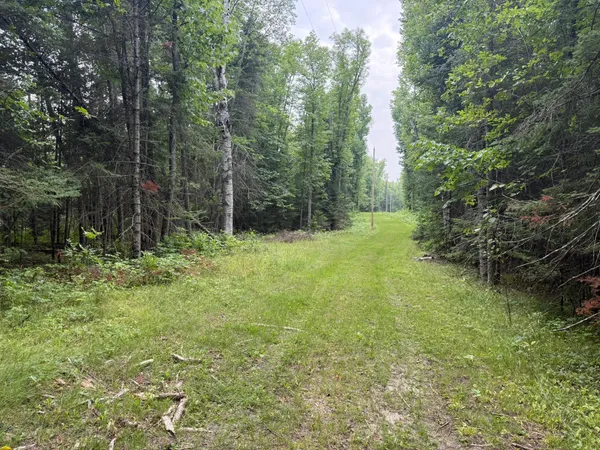 $179,000 | Tbd Cedar Point Road, Marcell, MN 56657