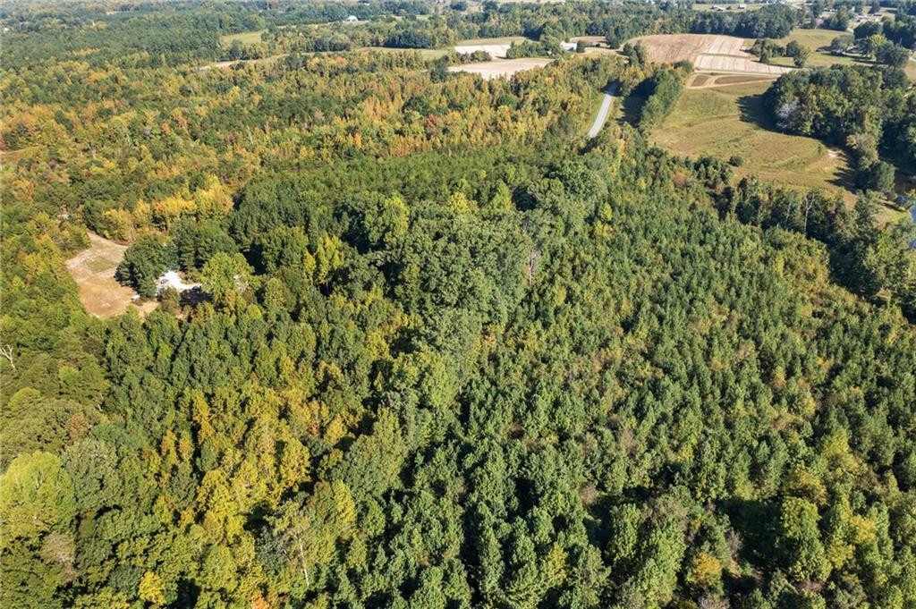 6110 Doc Corbett Road Cedar Grove, NC 27231 - Photo 16 of 18 Gallery Image 16