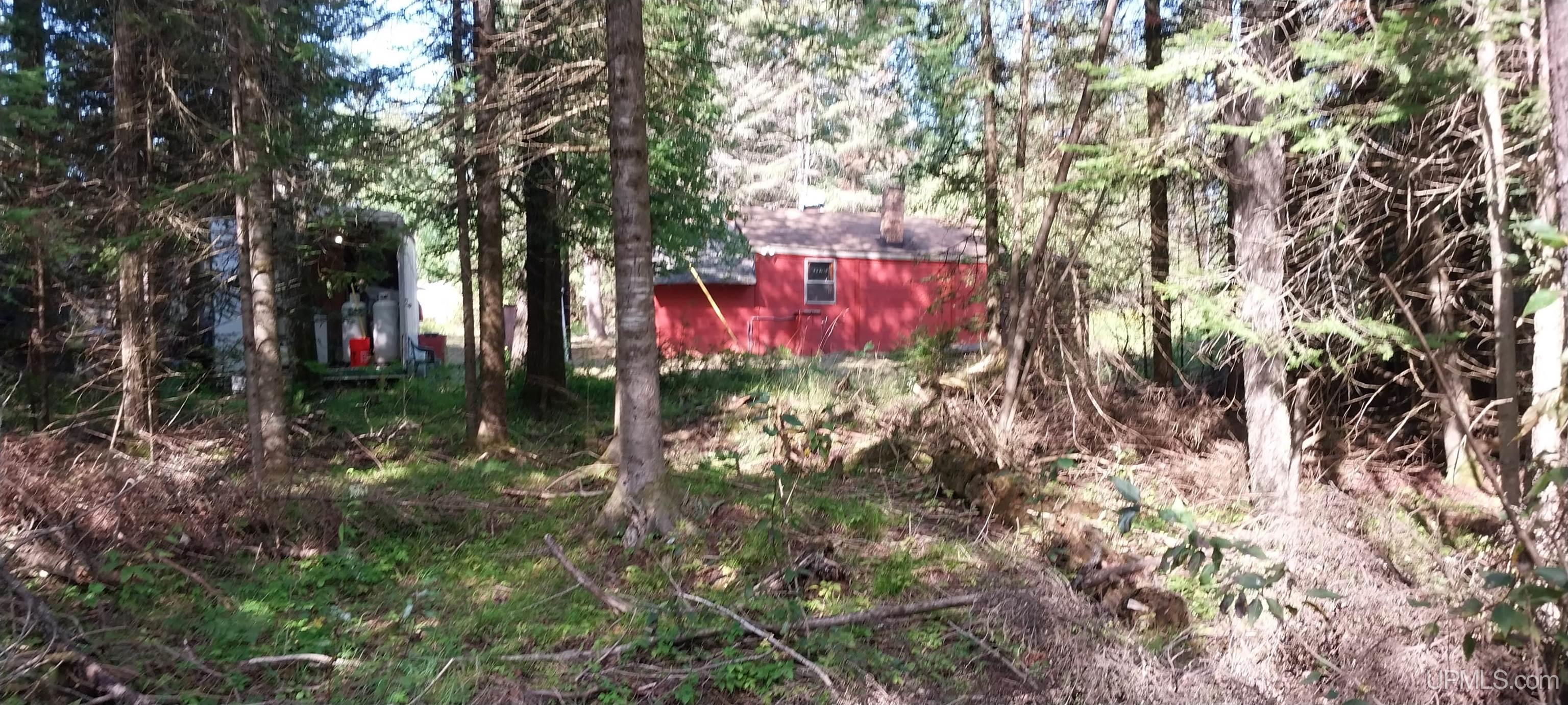 W1699 Co Road Carney, MI 49812 - Photo 5 of 32