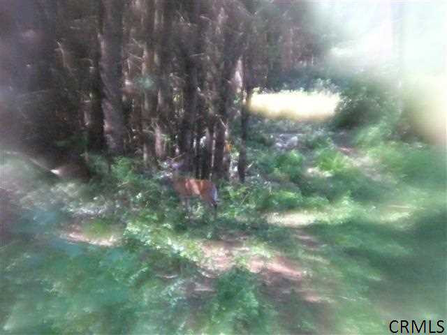 266 Union Mills Road Broadalbin, NY 12025 - Photo 24 of 24 Photo 24