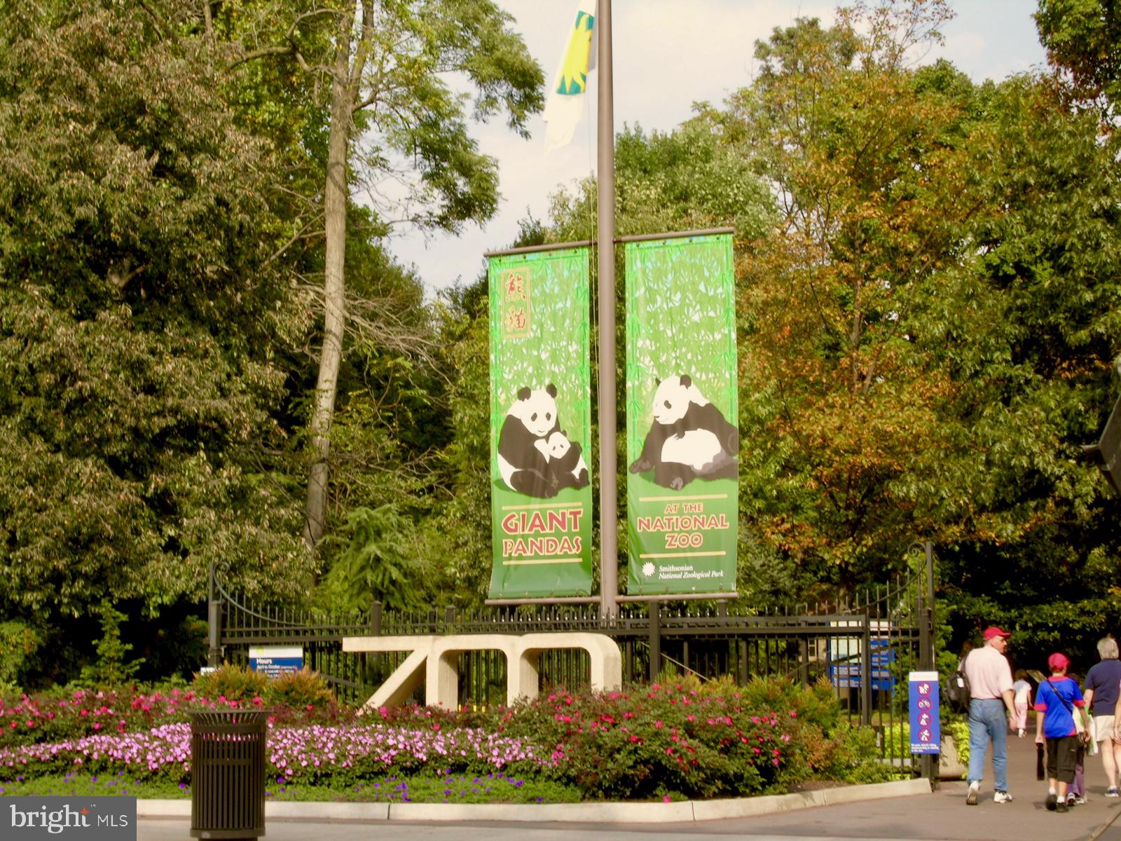 2724 Ontario Road Northwest Washington, DC 20009 - Photo 80 of 93 Zoo