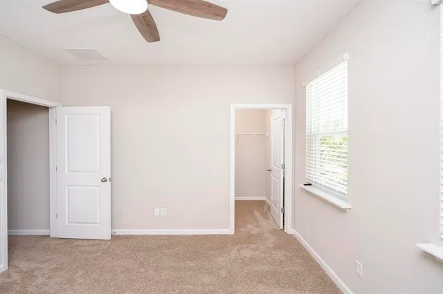 a view of a large trees with a tree