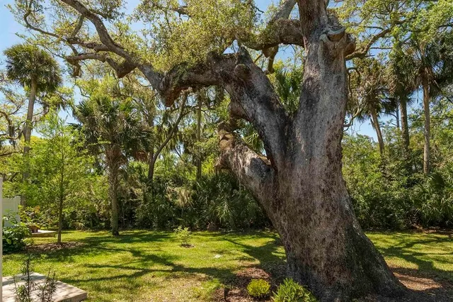 front view of a house
