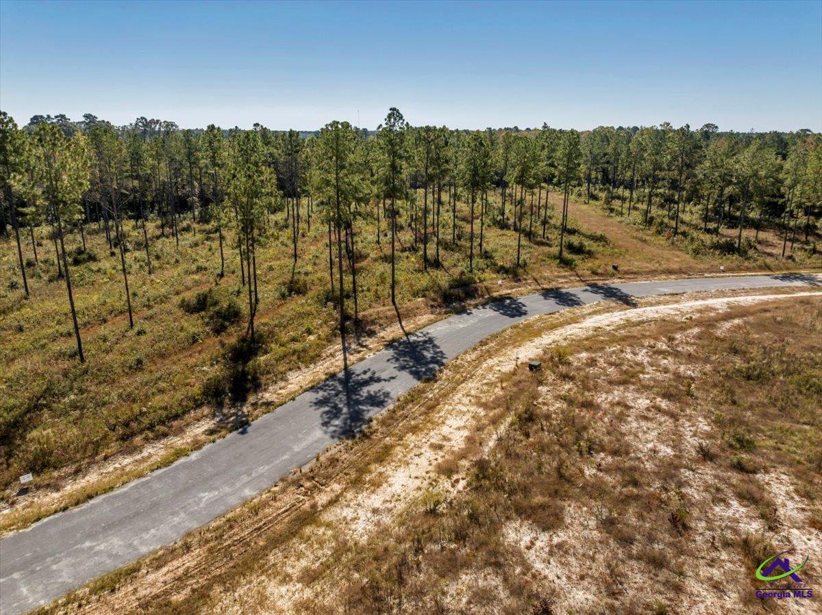 12 Timber Way Cochran, GA 31014 - Photo 3 of 13